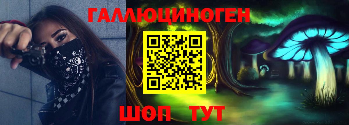 Псилоцибиновые грибы прущие грибы  Вход с VPN  Биробиджан 